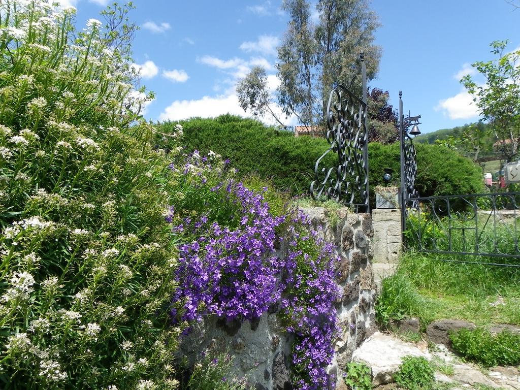 Le Cabanon Bed and Breakfast Thueyts Exteriör bild